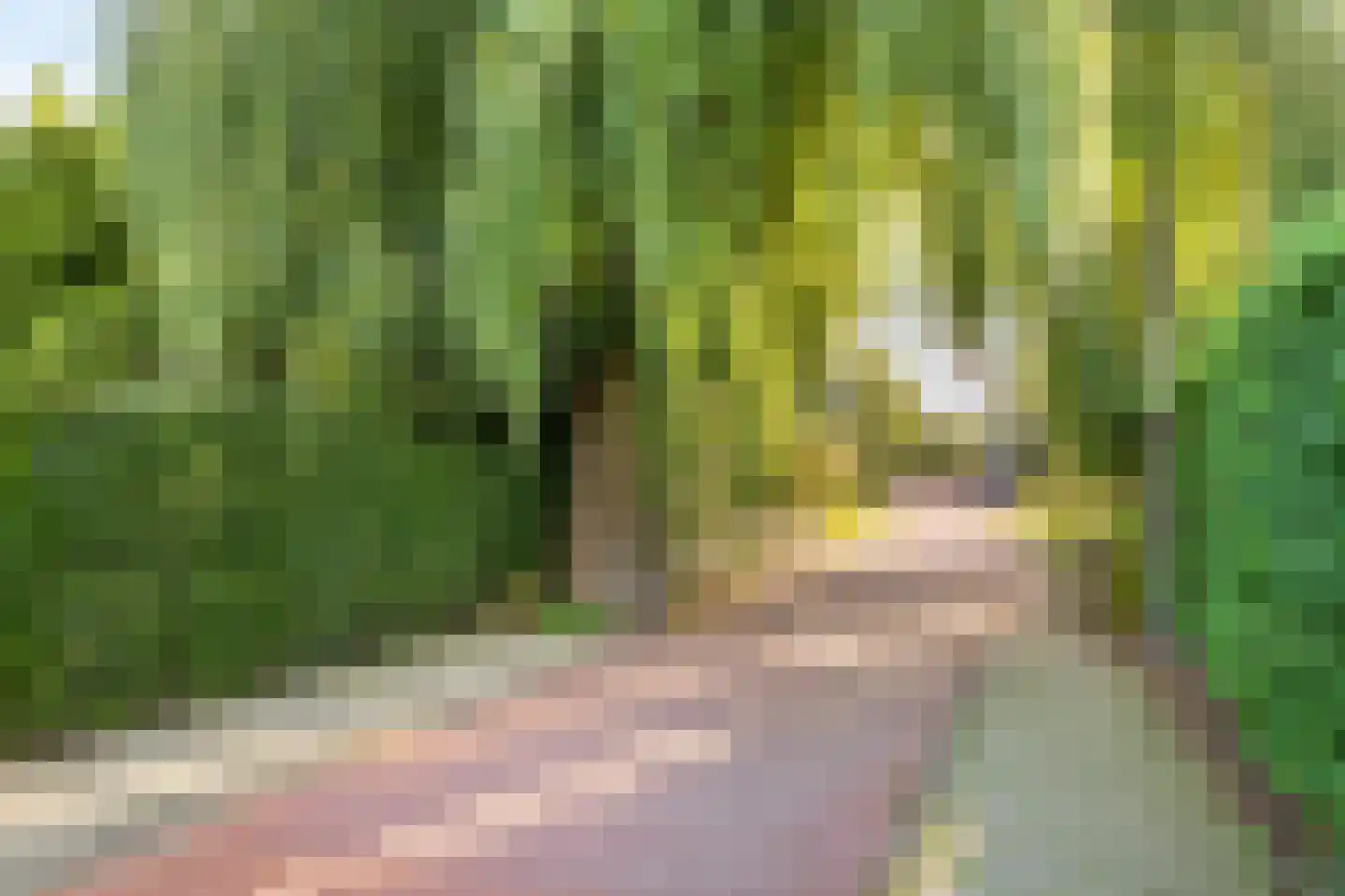Laan 1954 53 De Meern thumbnail 30