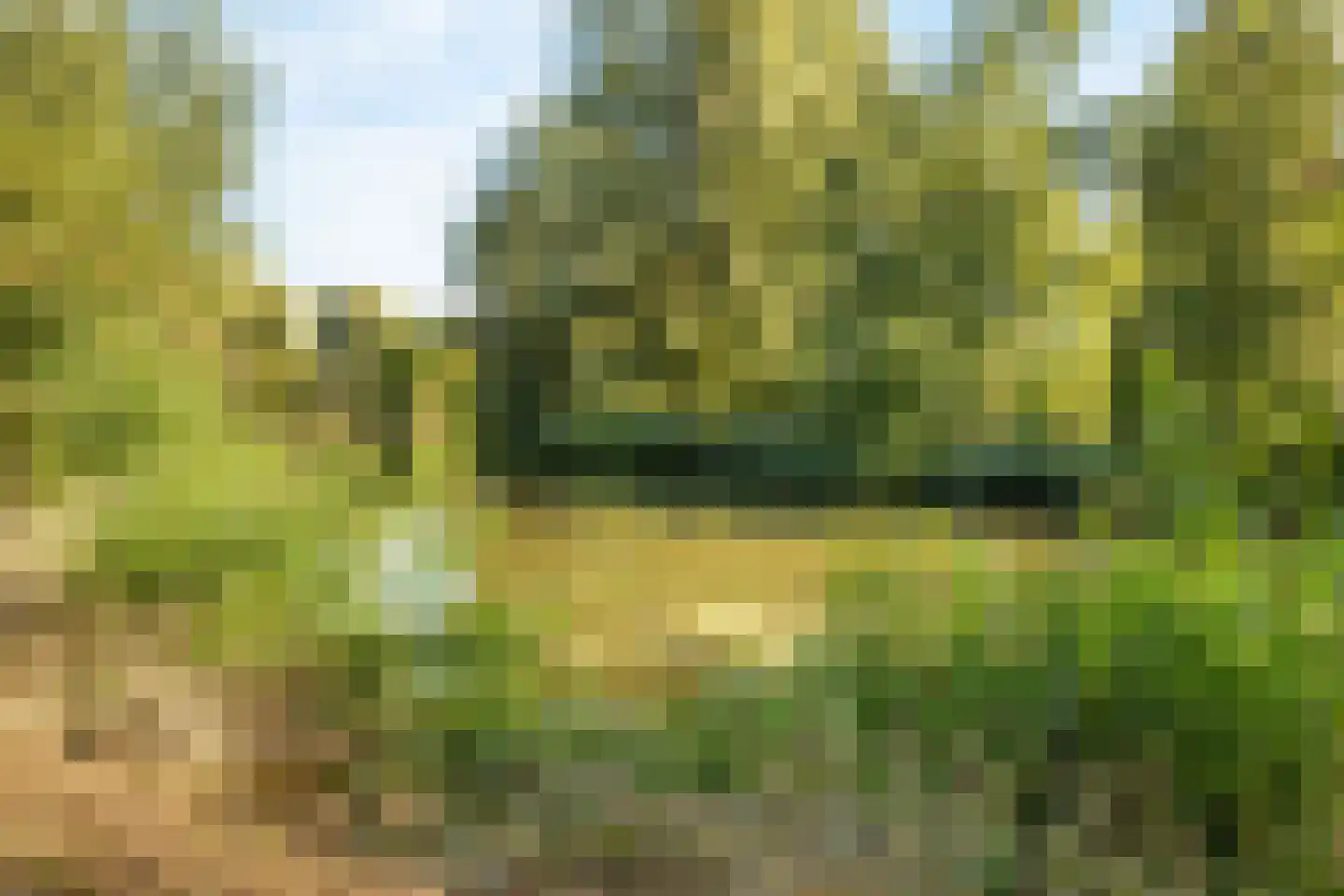 Laan 1954 53 De Meern thumbnail 31