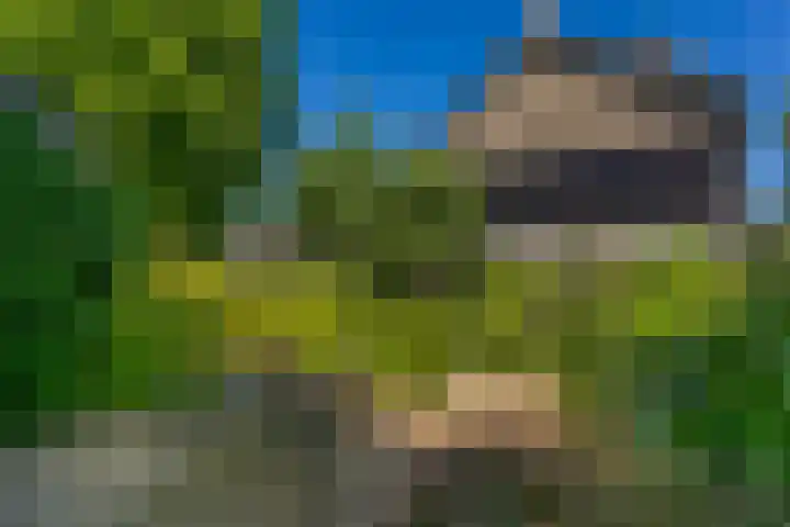 Laan 1954 8 De Meern thumbnail 33