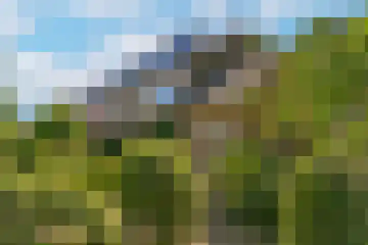Laan 1954 8 De Meern thumbnail 39