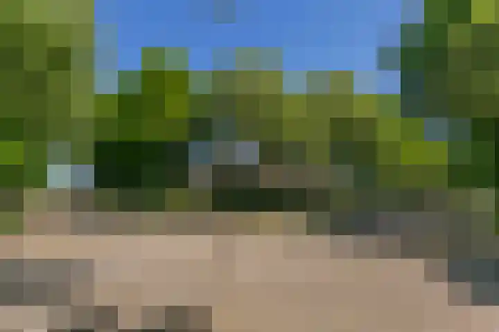 Laan 1954 8 De Meern thumbnail 50