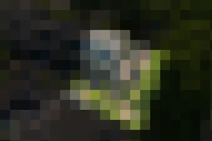Laan 1954 8 De Meern thumbnail 51