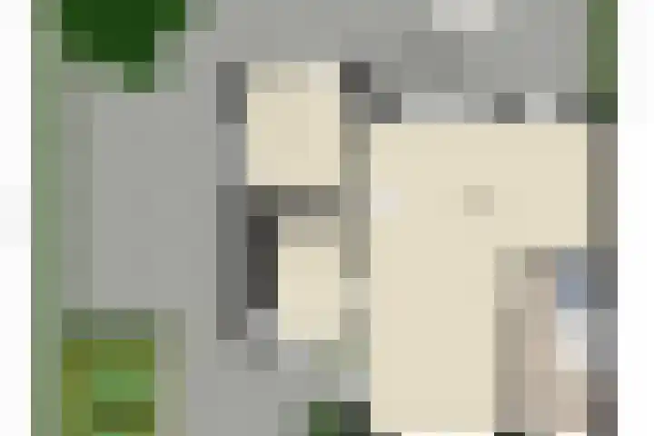 Laan 1954 8 De Meern thumbnail 52