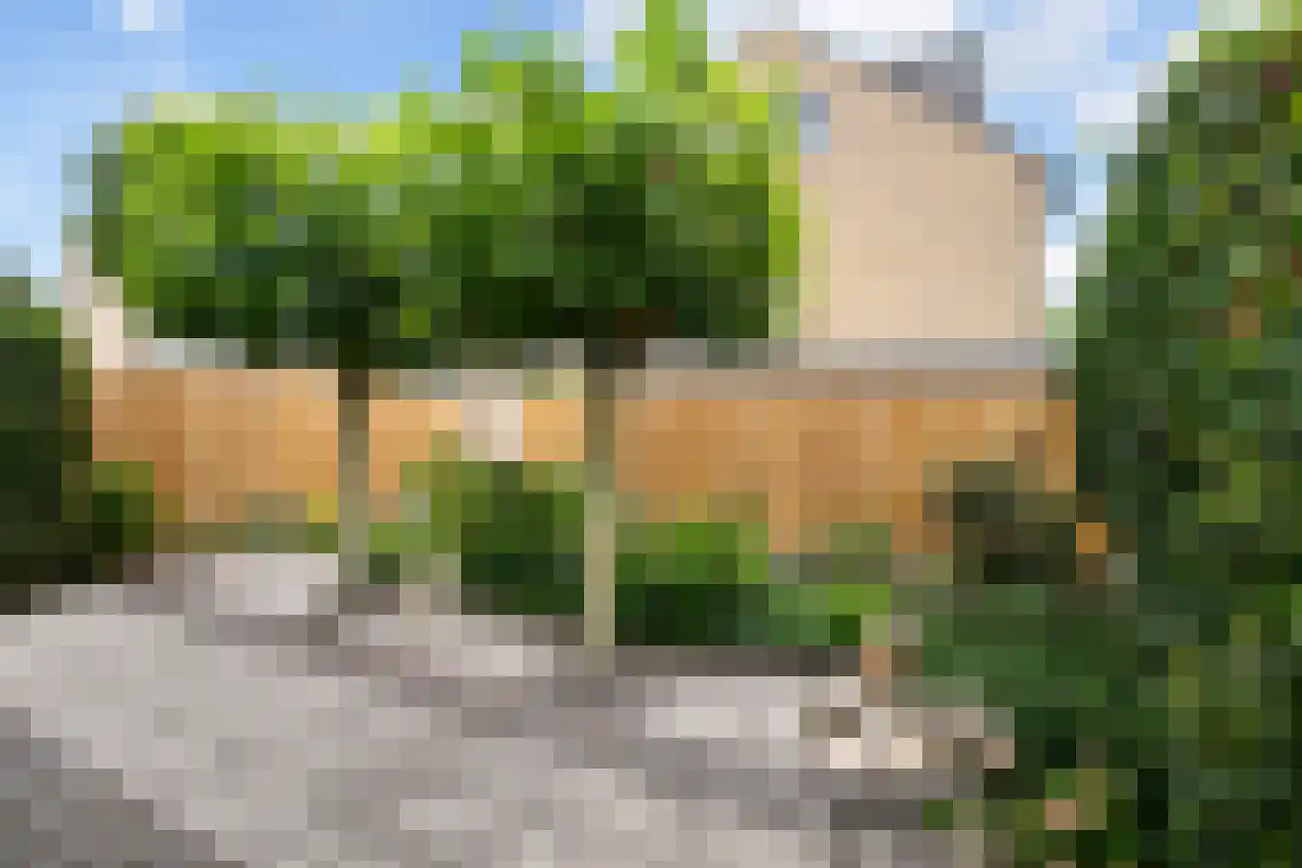 Laan 1954 9 De Meern thumbnail 15