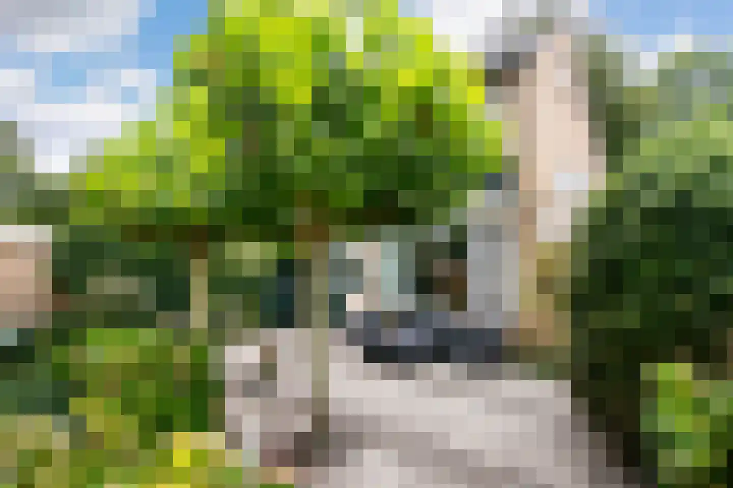 Laan 1954 9 De Meern thumbnail 18