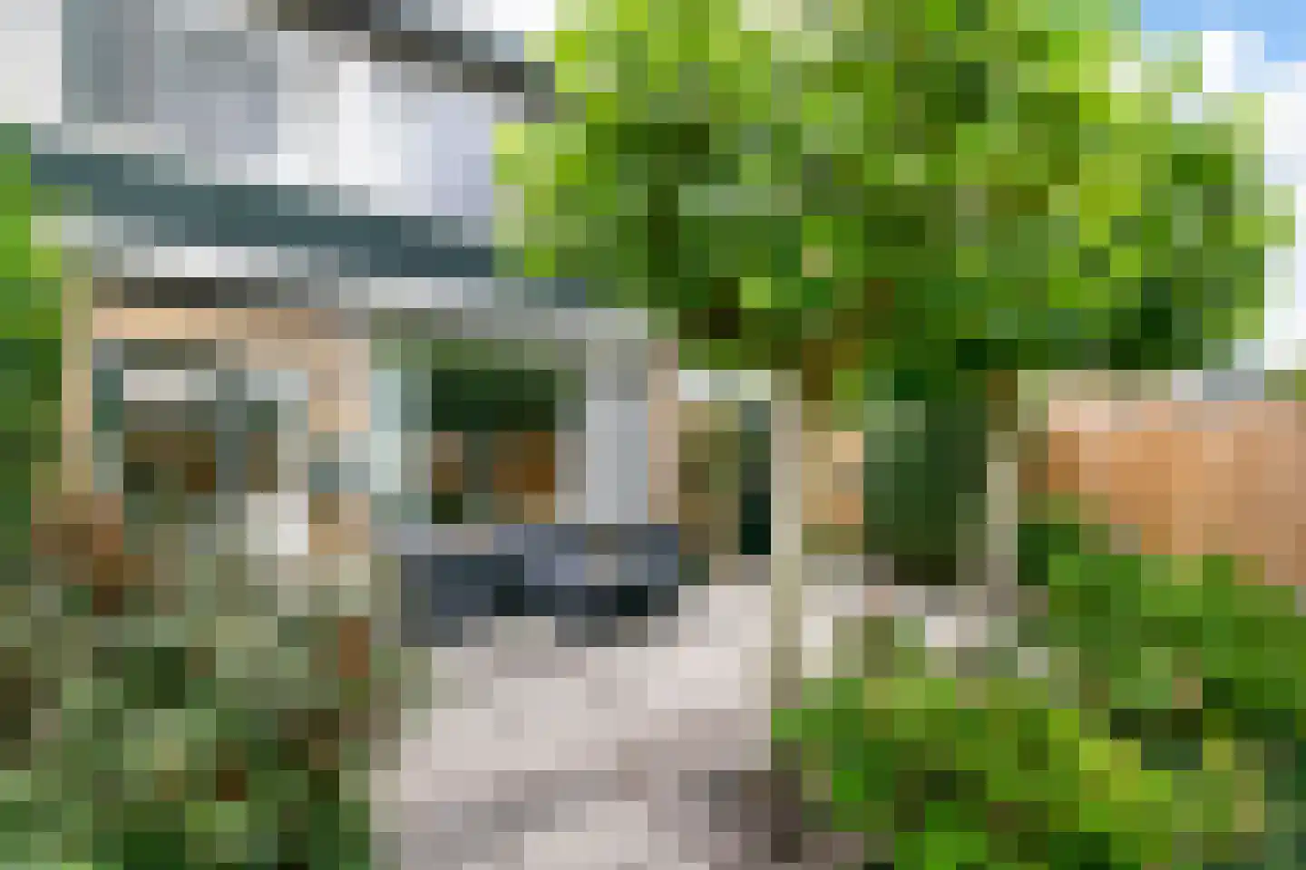 Laan 1954 9 De Meern thumbnail 19