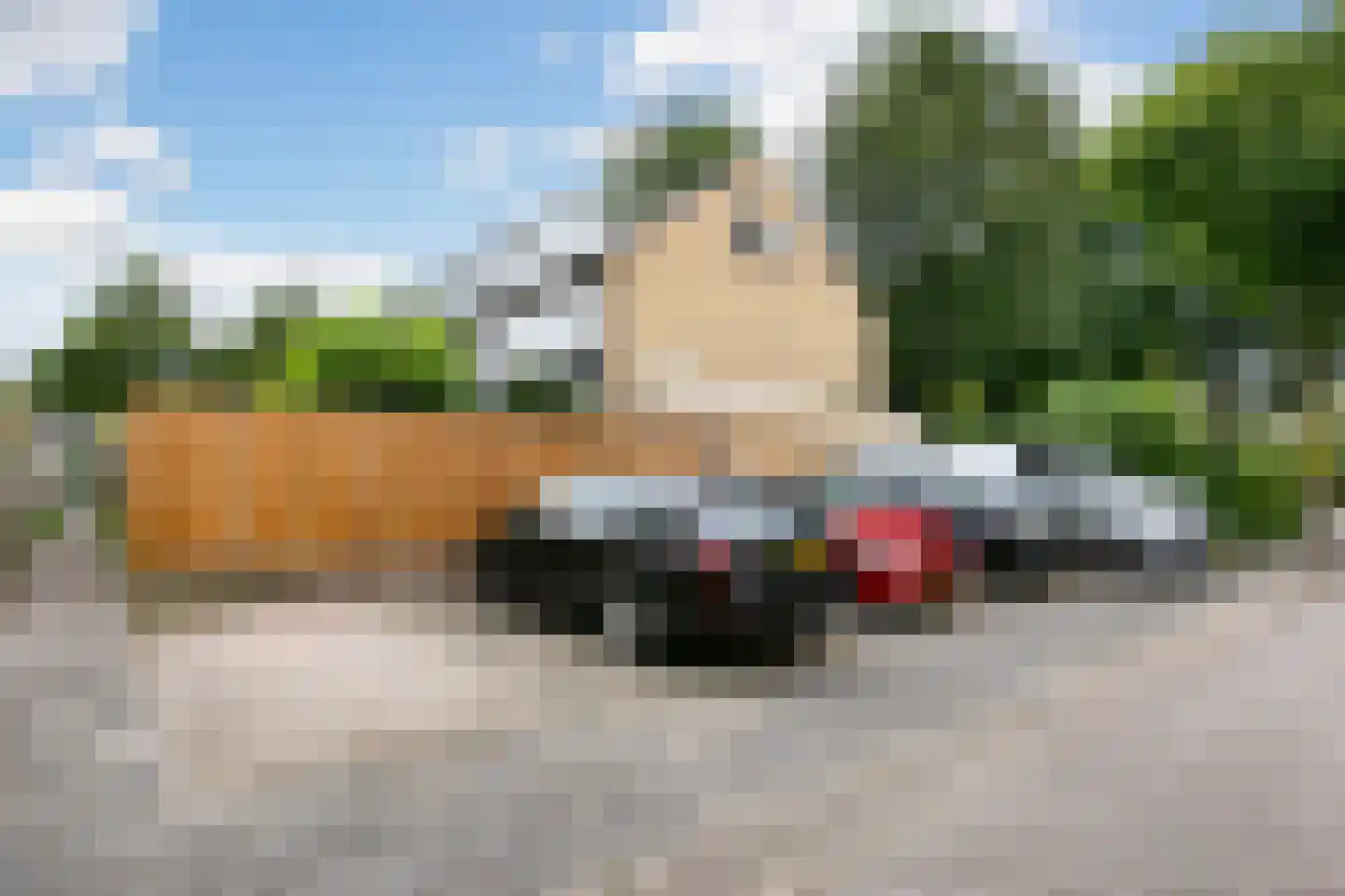Laan 1954 9 De Meern thumbnail 41