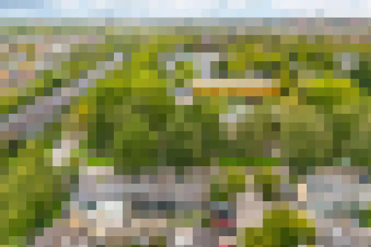 Laan 1954 9 De Meern thumbnail 43