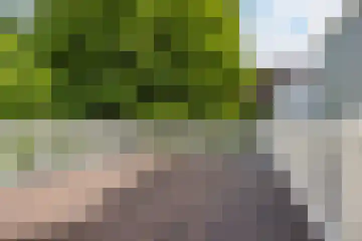Laan 267 Den Haag thumbnail 4