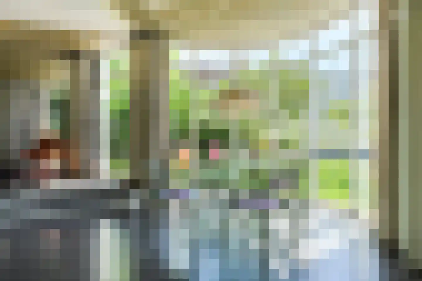 Laan 3 Oosterhout thumbnail 12