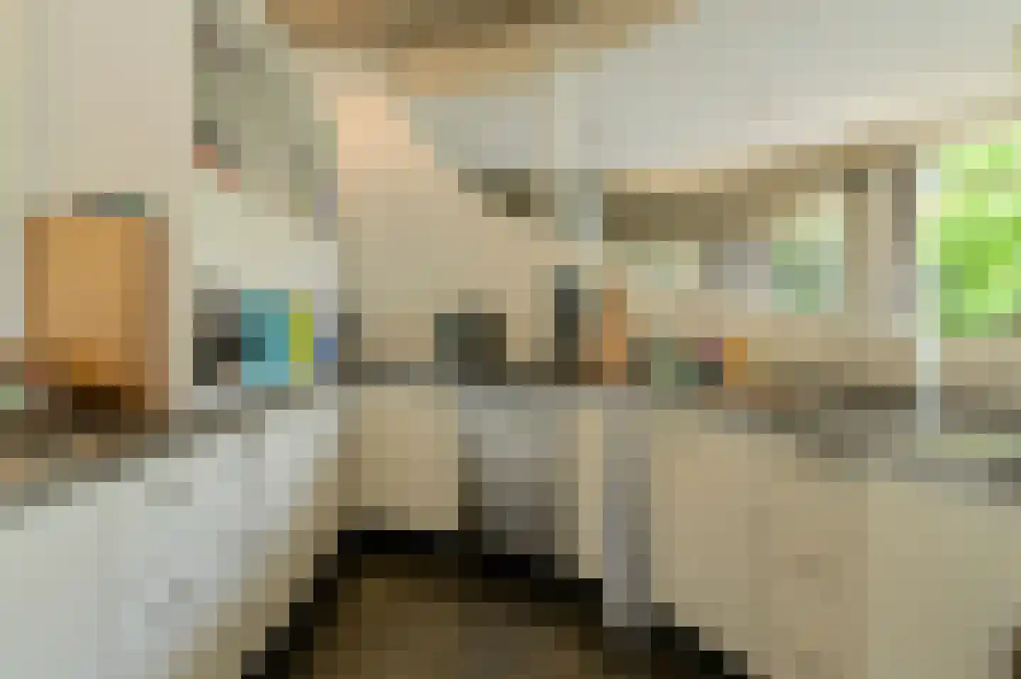 Laan 3 Oosterhout thumbnail 14