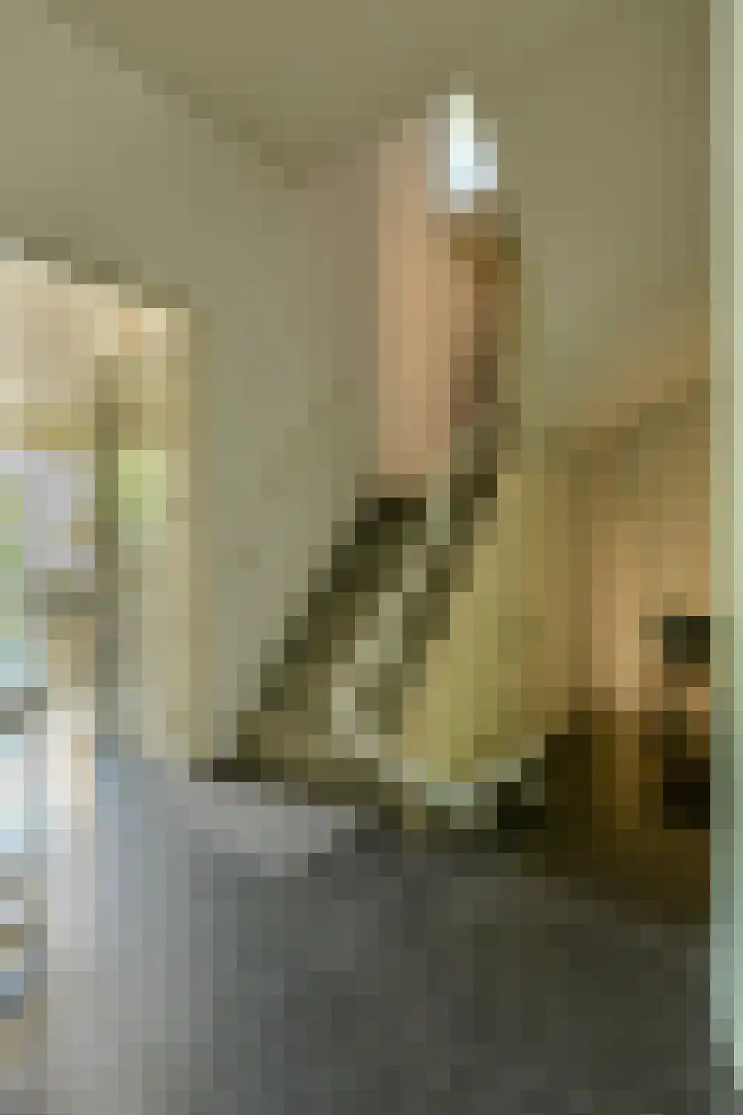 Laan 3 Oosterhout thumbnail 16