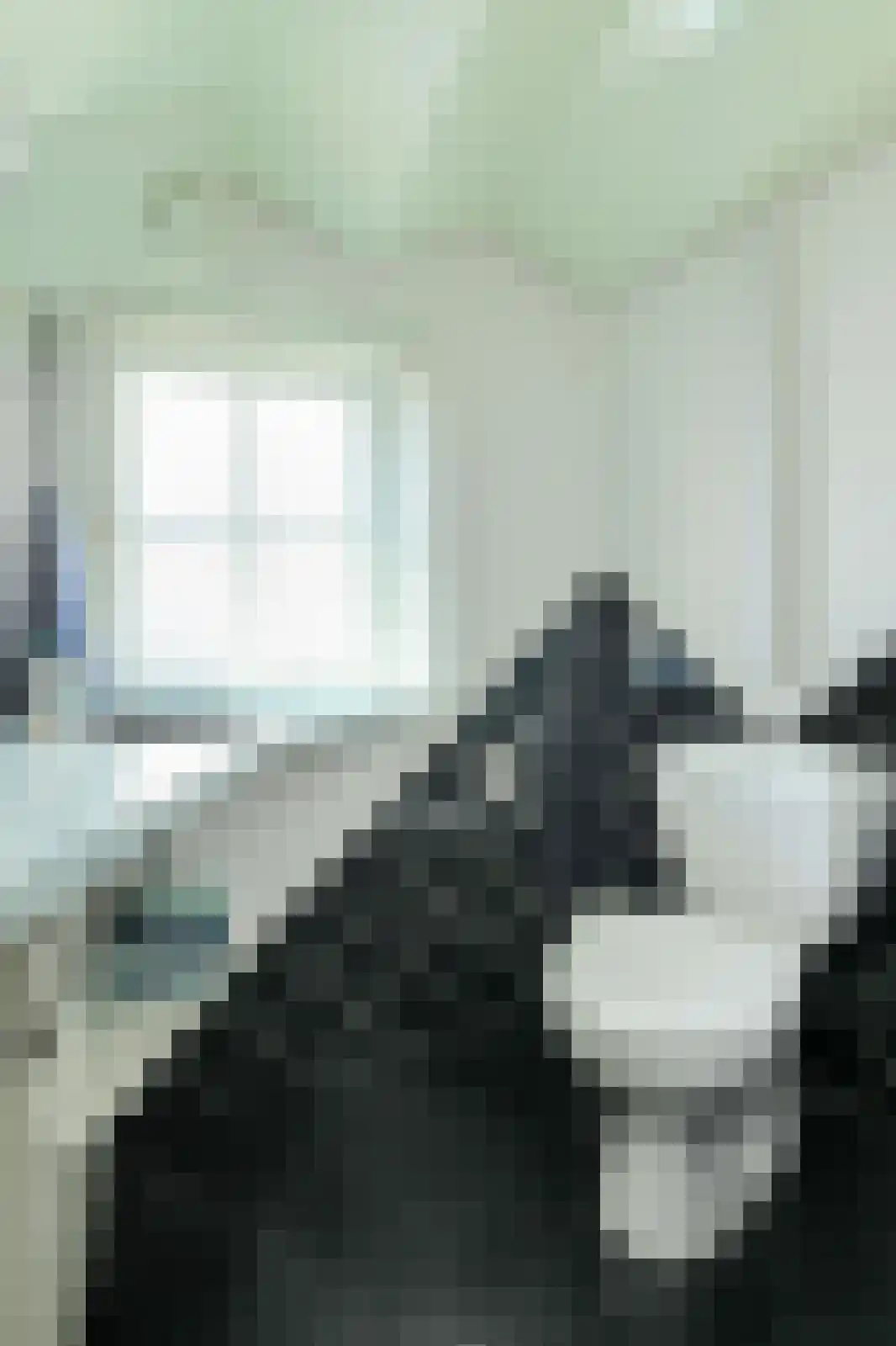 Laan 3 Oosterhout thumbnail 17