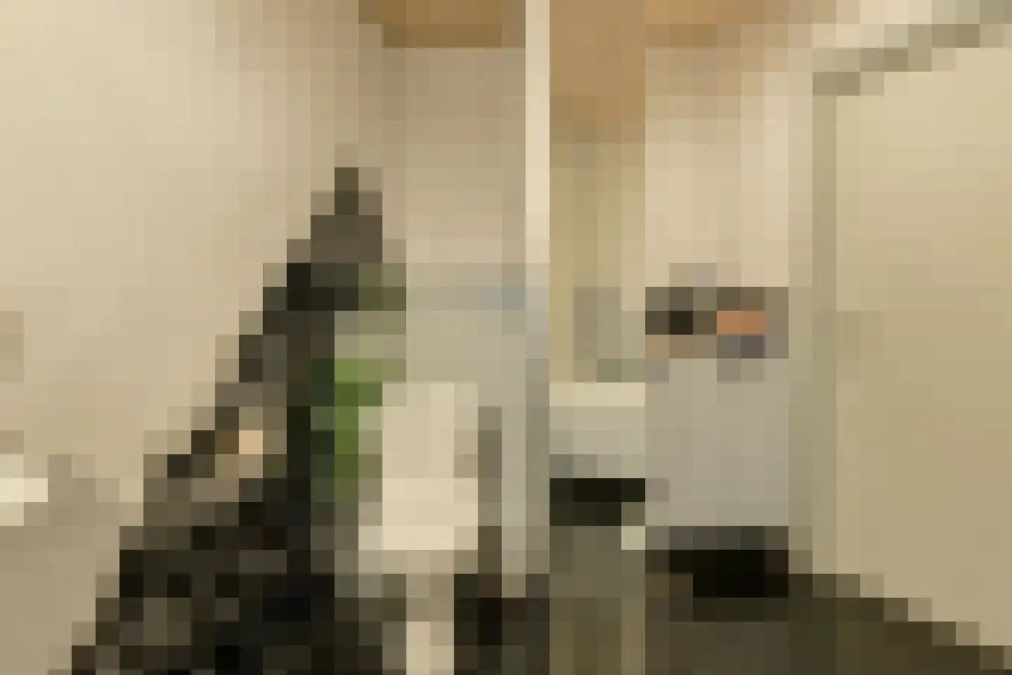 Laan 3 Oosterhout thumbnail 22
