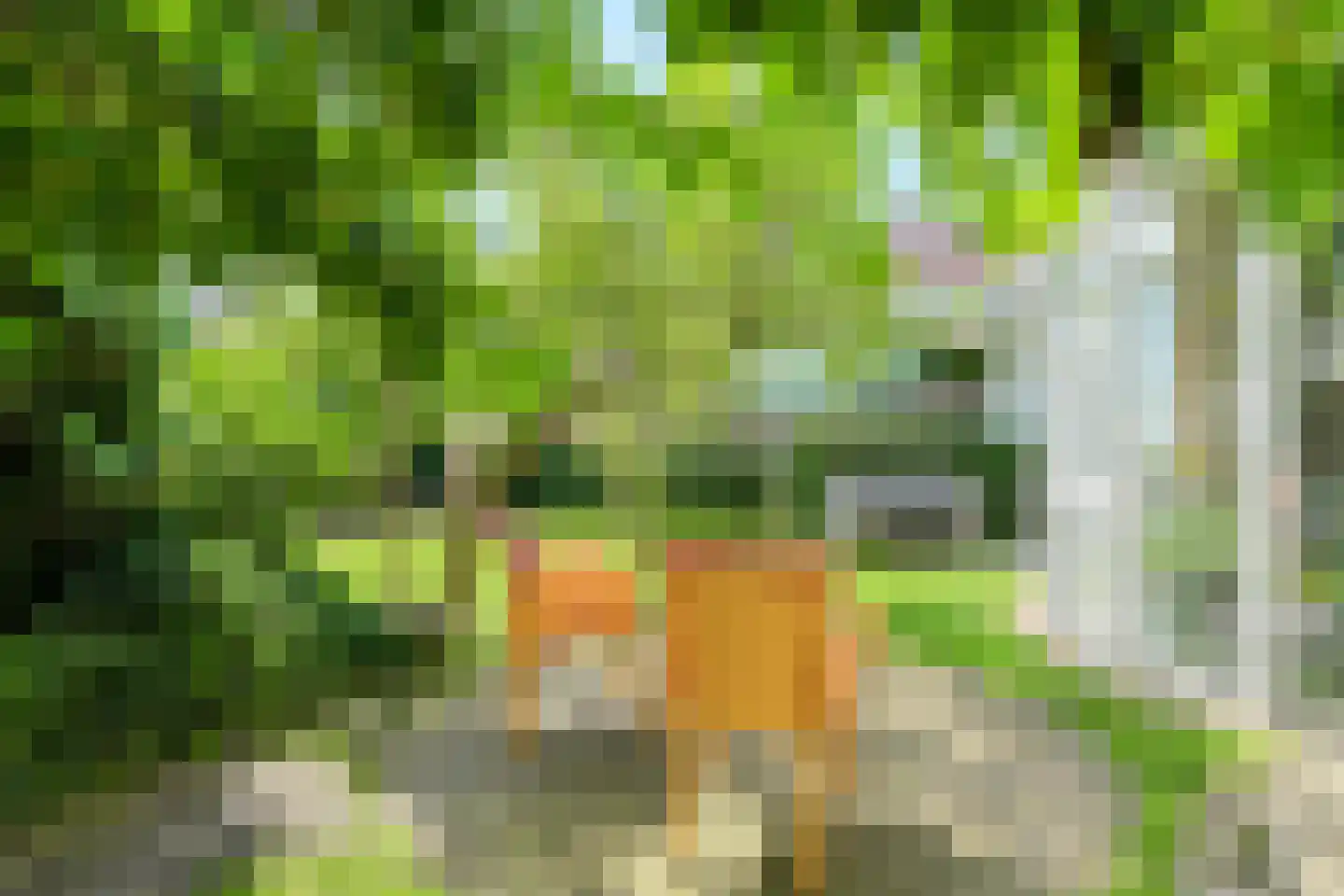 Laan 3 Oosterhout thumbnail 4