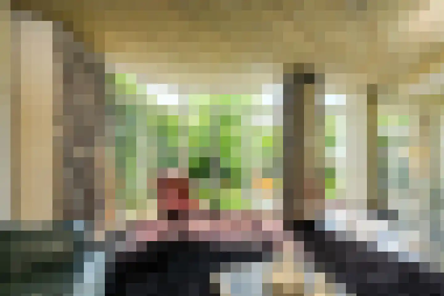 Laan 3 Oosterhout thumbnail 9