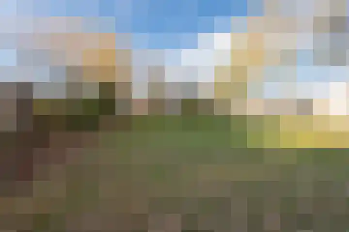 Laan '40-'45 121 Vriezenveen thumbnail 45