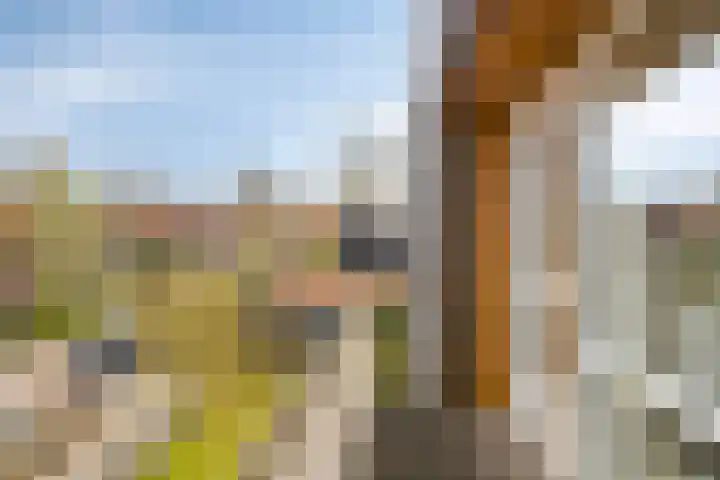 Laan '40-'45 56 Vriezenveen thumbnail 26