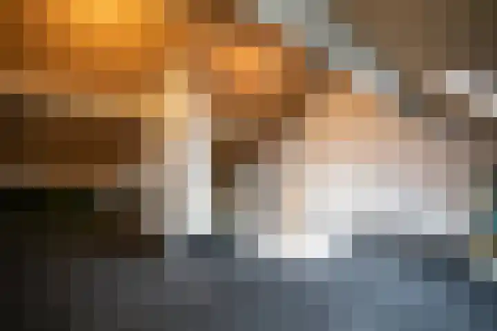 Laan '40-'45 56 Vriezenveen thumbnail 33