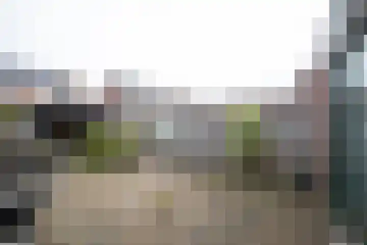 Laan '40-'45 56 Vriezenveen thumbnail 36