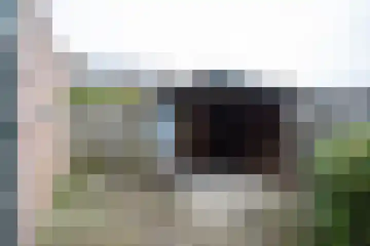 Laan '40-'45 56 Vriezenveen thumbnail 37