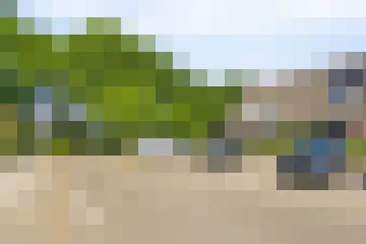 Laan '40-'45 56 Vriezenveen thumbnail 38