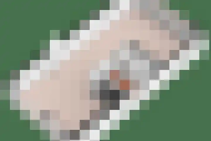 Laan '40-'45 56 Vriezenveen thumbnail 46
