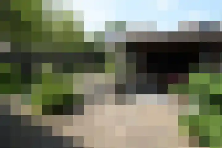 Laan '40-'45 58 Vriezenveen thumbnail 23