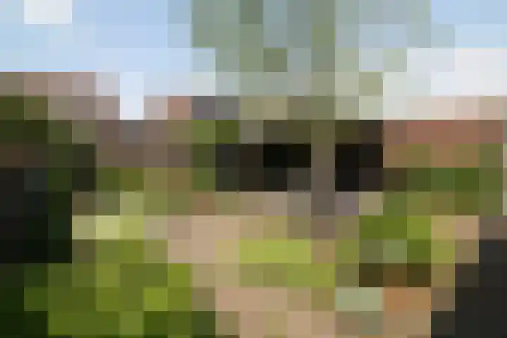 Laan '40-'45 58 Vriezenveen thumbnail 24