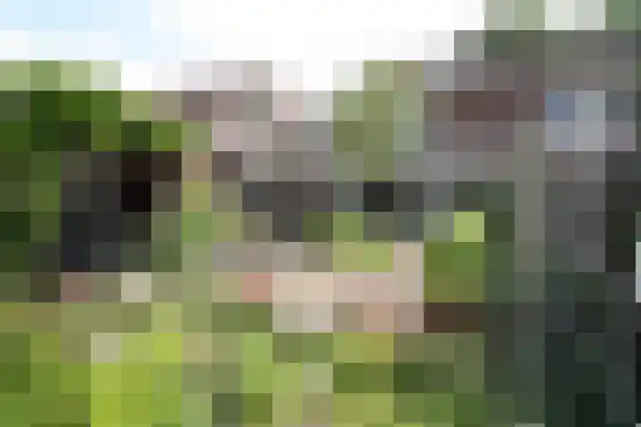 Laan '40-'45 58 Vriezenveen thumbnail 26