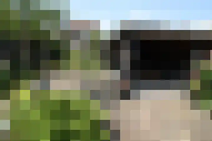 Laan '40-'45 58 Vriezenveen thumbnail 33