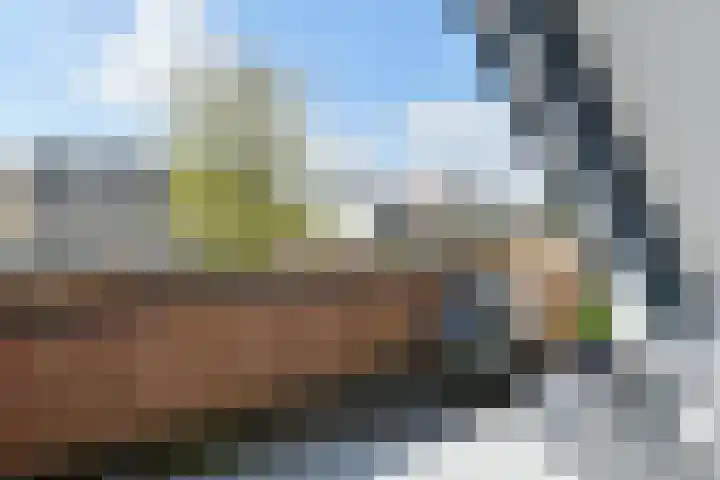 Laan '40-'45 58 Vriezenveen thumbnail 4