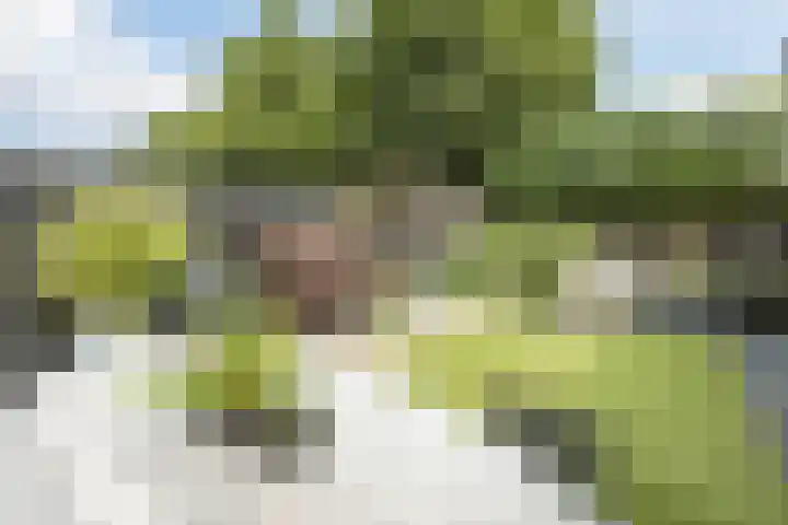 Laan '40-'45 89 Vriezenveen thumbnail 54