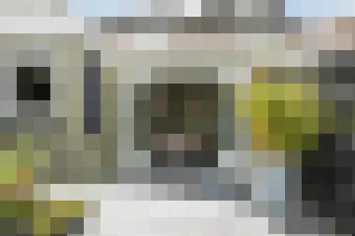 Laan '40-'45 89 Vriezenveen thumbnail 57
