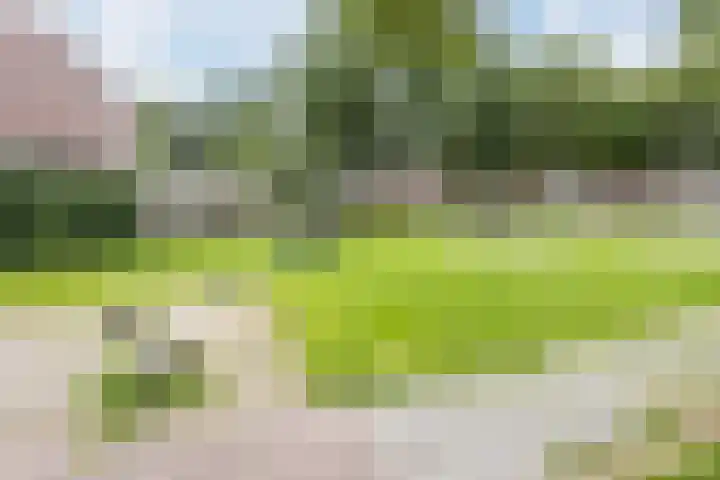 Laan '40-'45 89 Vriezenveen thumbnail 70