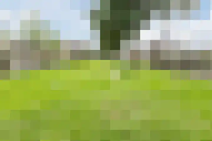 Laan '40-'45 89 Vriezenveen thumbnail 71