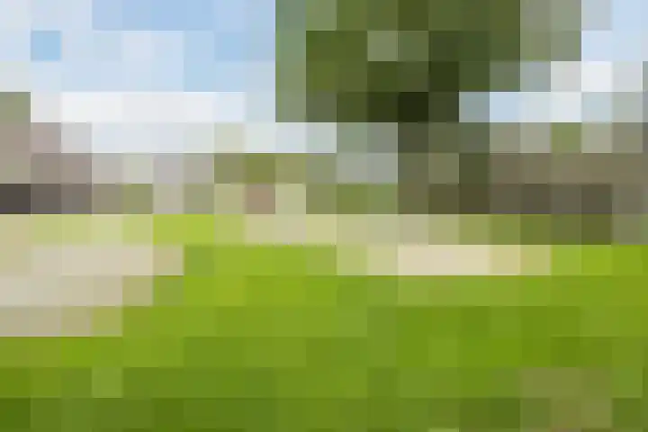 Laan '40-'45 89 Vriezenveen thumbnail 72