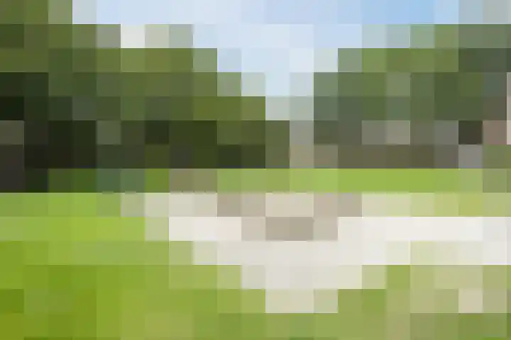 Laan '40-'45 89 Vriezenveen thumbnail 73