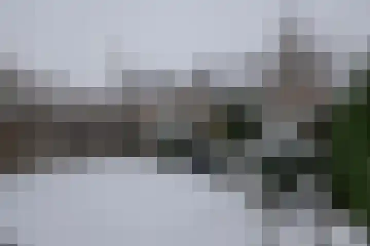 Laan '40-'45 95 Vriezenveen thumbnail 18