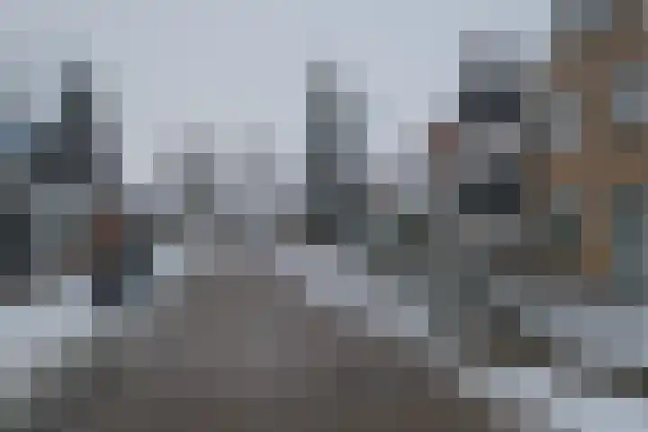 Laan '40-'45 95 Vriezenveen thumbnail 19