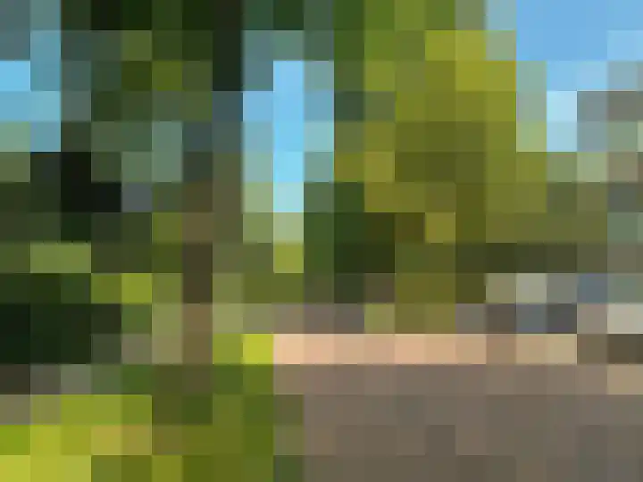 Laan 70 d Nunspeet thumbnail 4