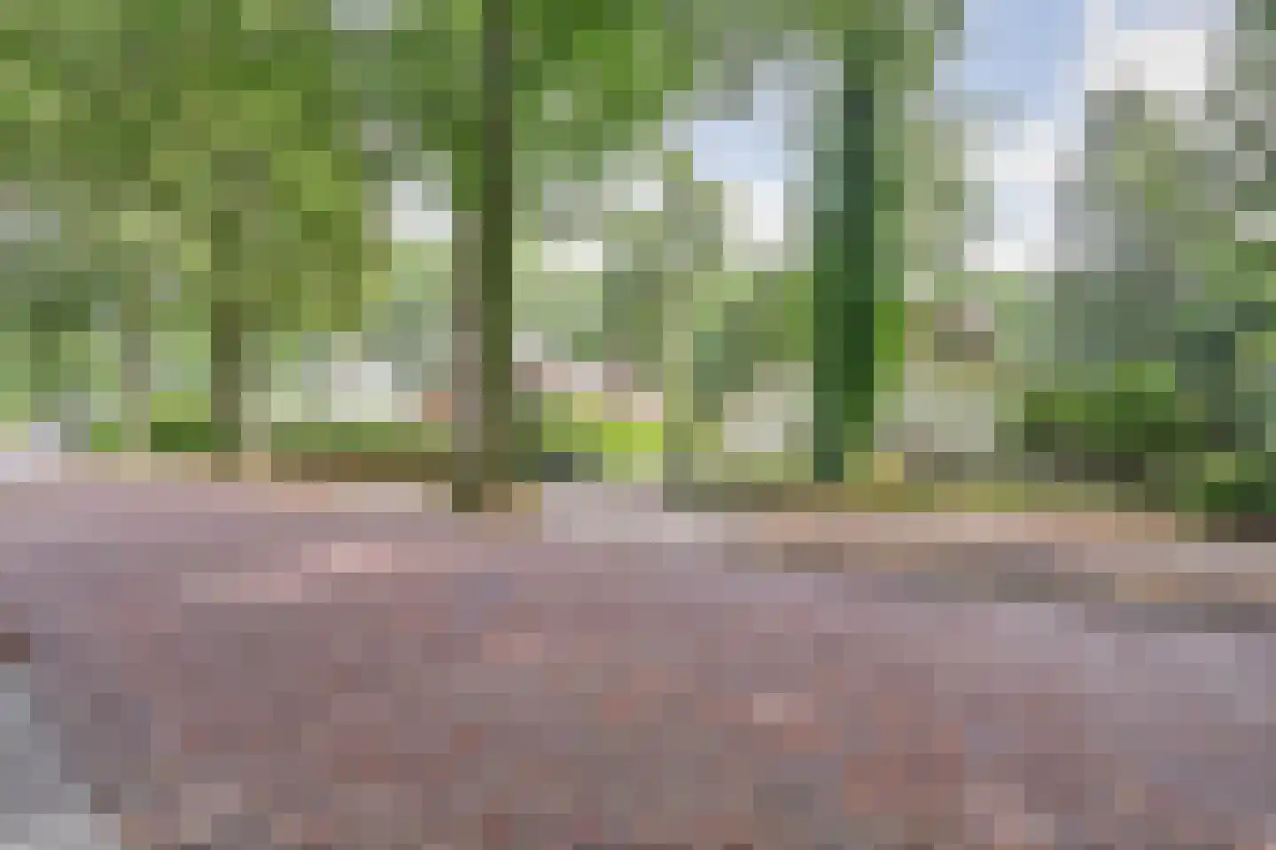 Laan 78 Nunspeet thumbnail 10