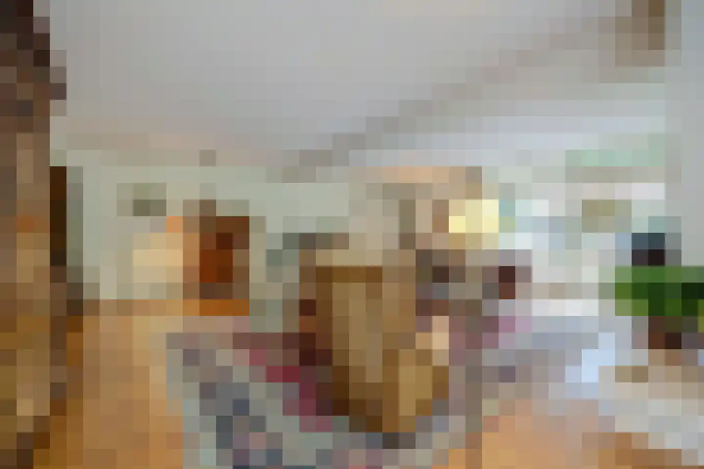 Laan 78 Nunspeet thumbnail 16