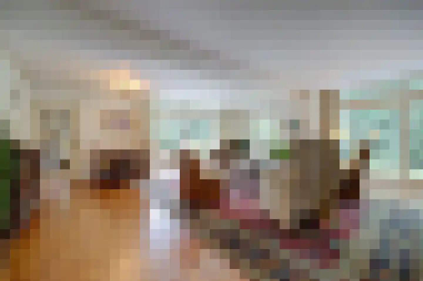 Laan 78 Nunspeet thumbnail 17