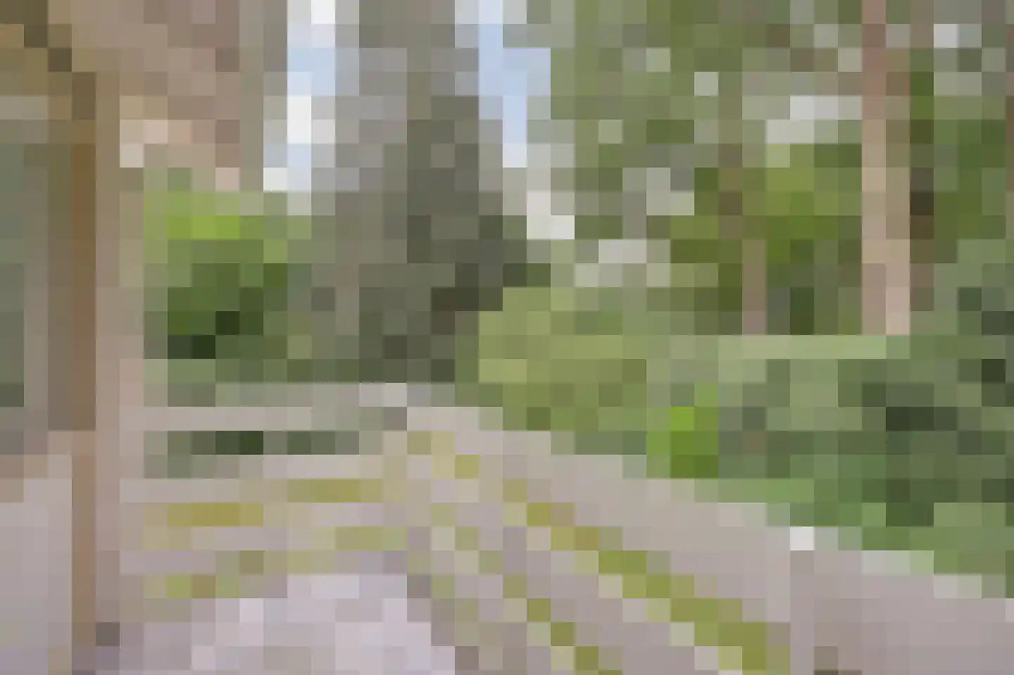 Laan 78 Nunspeet thumbnail 42