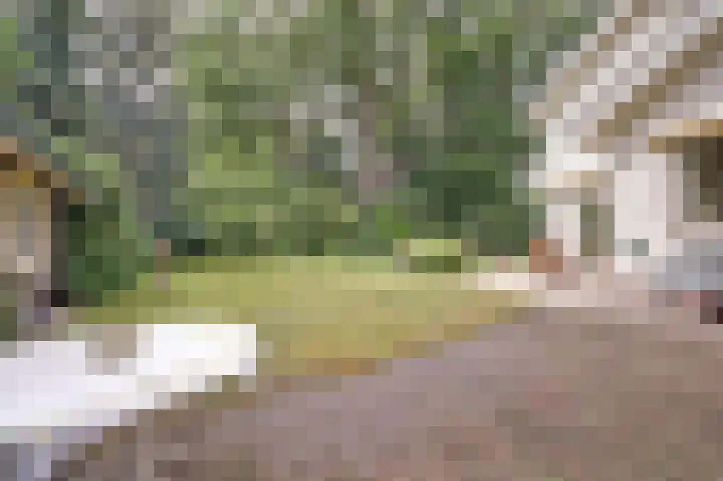 Laan 78 Nunspeet thumbnail 46