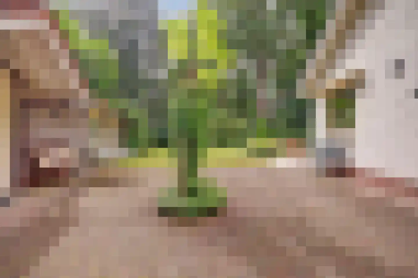 Laan 78 Nunspeet thumbnail 47