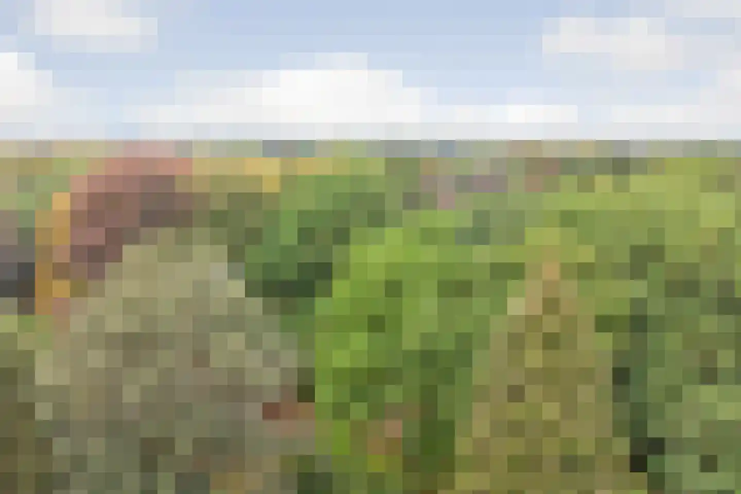 Laan 78 Nunspeet thumbnail 57