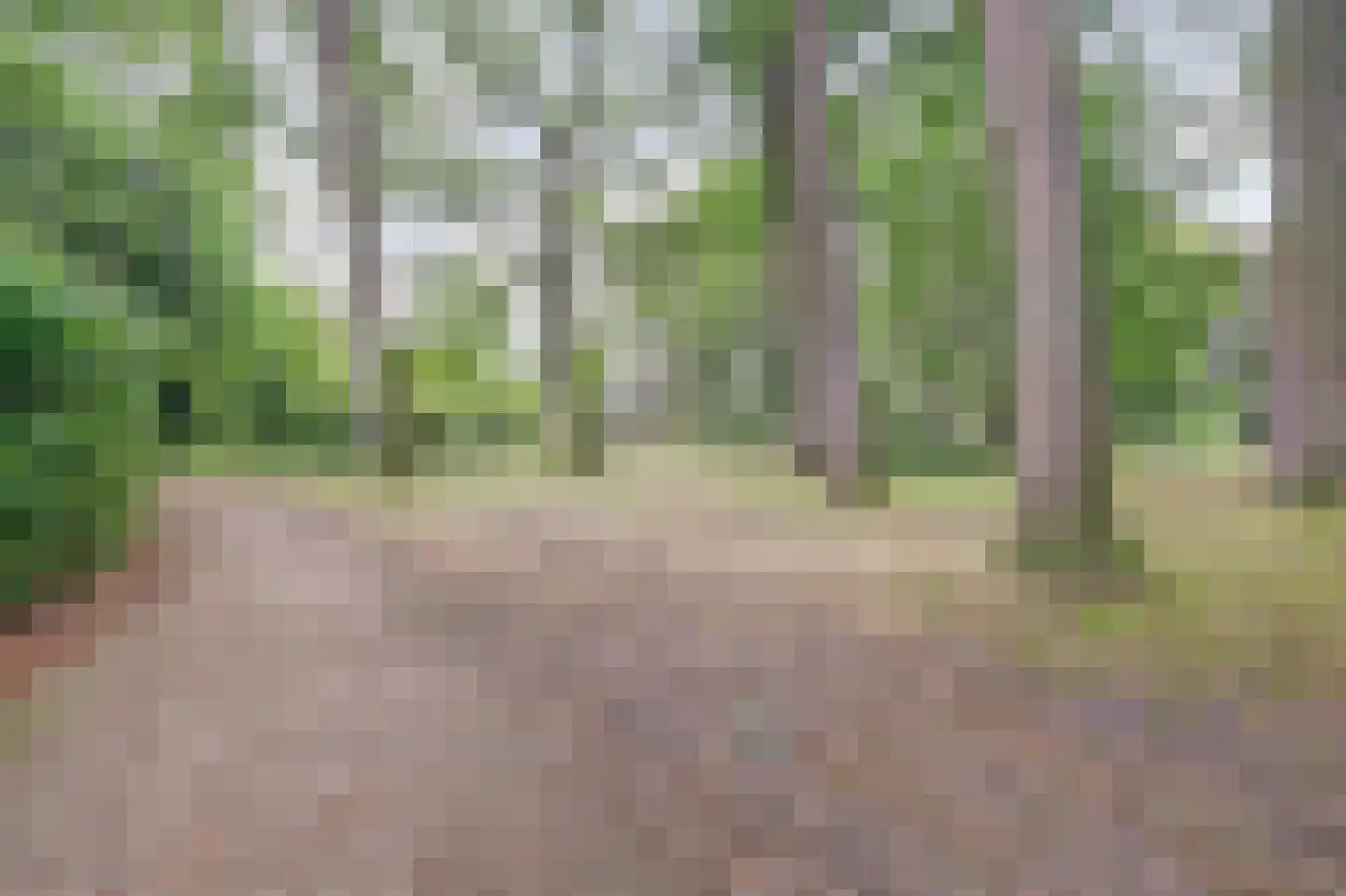 Laan 78 Nunspeet thumbnail 58