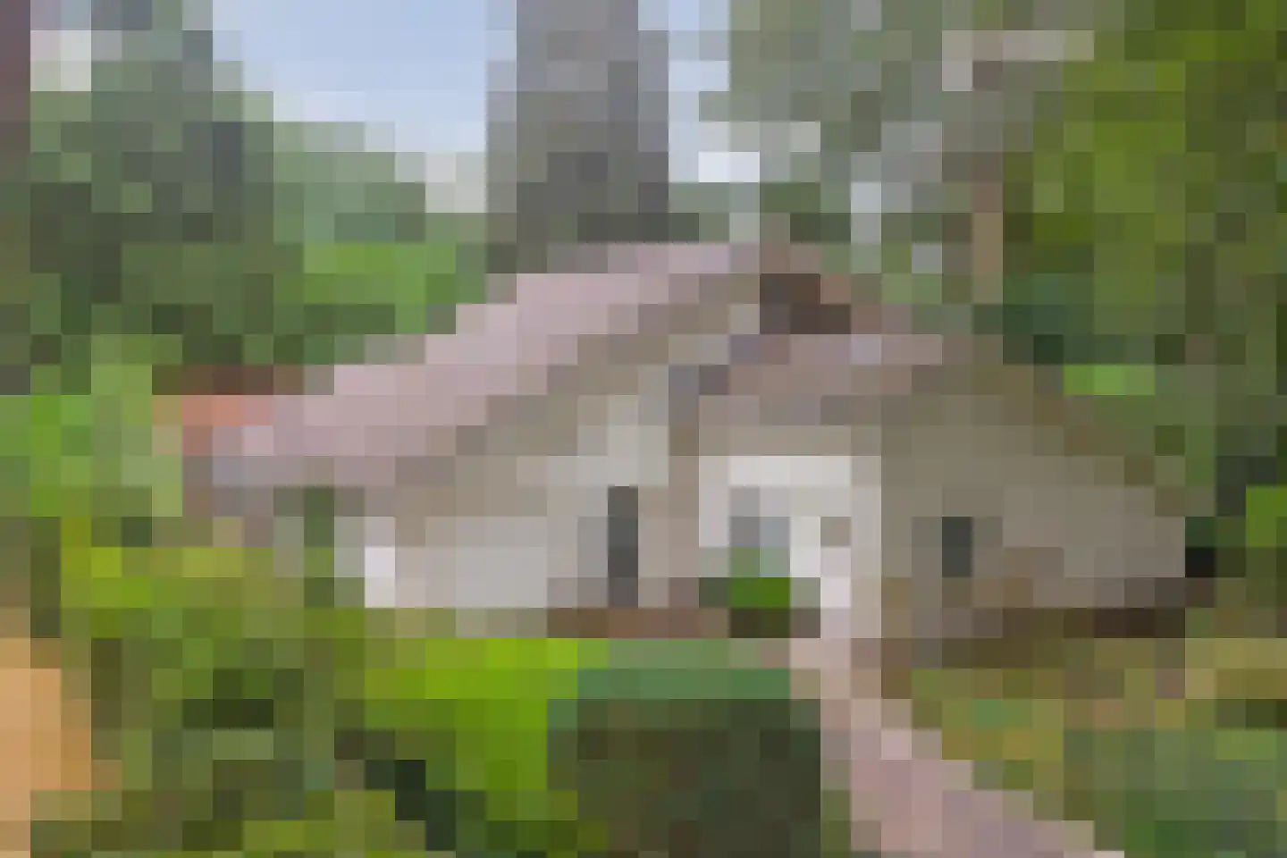Laan 78 Nunspeet thumbnail 7